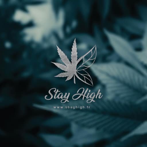Stay High à Montpellier - France