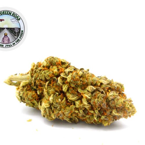 Big Bang Hydroponie CBD 23% - 420 Green Road