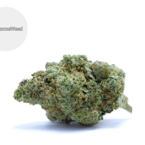 Blueberry CBD 20% - BonneWeed