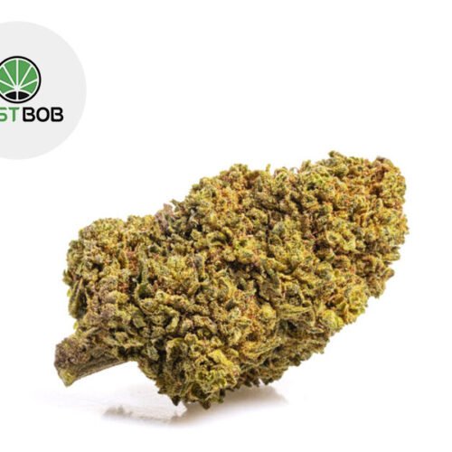 Mango CBD Boost 42% - JustBob