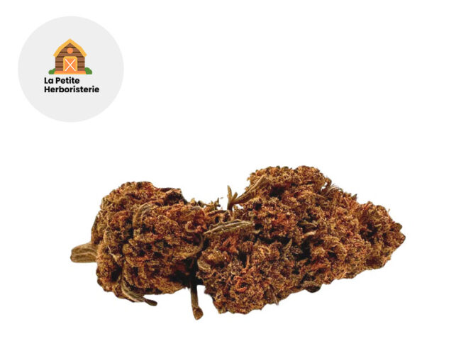 Orange Bud CBD 11% - La Petite Herboristerie