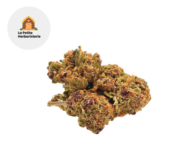 Purple CBD 20% - La Petite Herboristerie