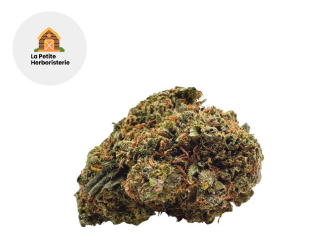 Erdbeerli CBD 20% - La Petite Herboristerie