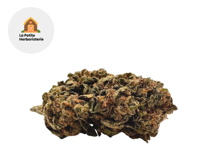 Remedy CBD 20% - La Petite Herboristerie