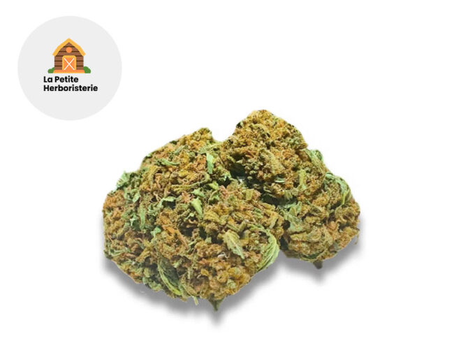 Harlequin Bretagne CBD 11% - La Petite Herboristerie