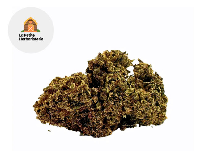 Small Buds CBNo 11% - La Petite Herboristerie