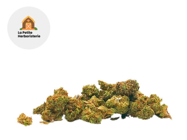 Small Buds CBD THCA 17% - La Petite Herboristerie