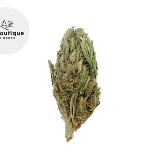 White Widow CBD 14% - La Boutique en Herbe