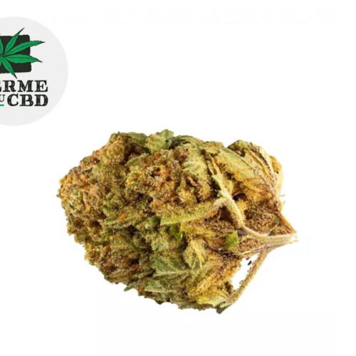 Bubble gum CBD 13% - La Ferme du CBD