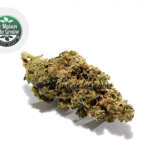 Amnezia Haze CBD 17% - La Maison De La Graine