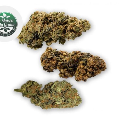 Coffret Traditionnel Fleurs CBD (15g) - La Maison De La Graine