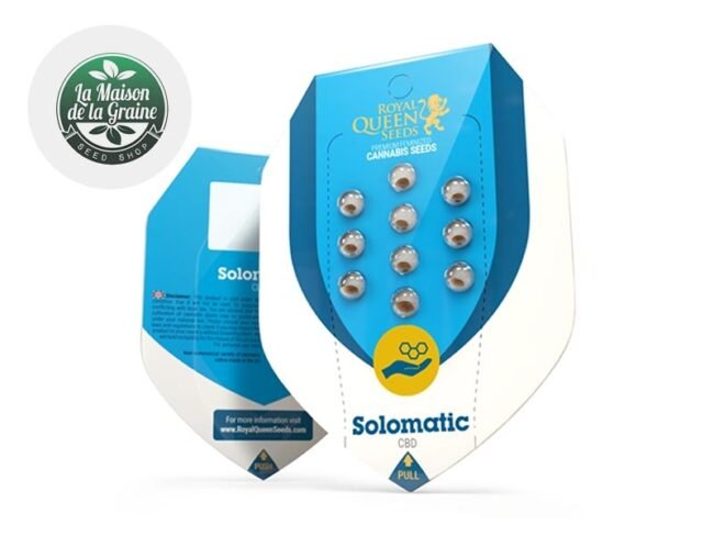 Graines Solomatic CBD autofloraison - Royal Queen Seeds