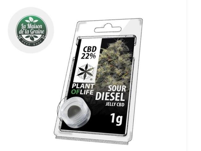 Sour Diesel Résine CBD 22% - Plantoflife