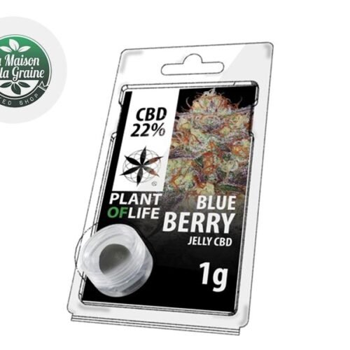 Blueberry Résine CBD 22% - Plantoflife