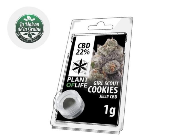 Girl Scout Cookies Résine CBD 22% - Plantoflife