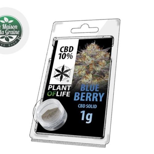 Blueberry Pollen CBD 10% - Plantoflife