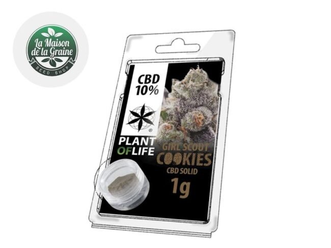 Girl Scout Cookies Pollen CBD 10% - Plantoflife