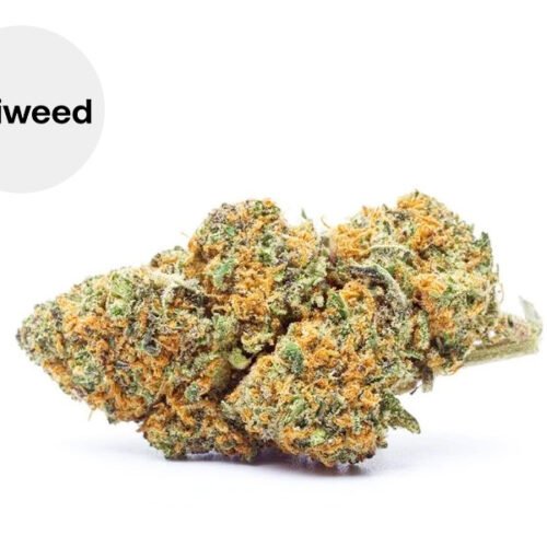 Cereal Milk CBD 24% - Okiweed