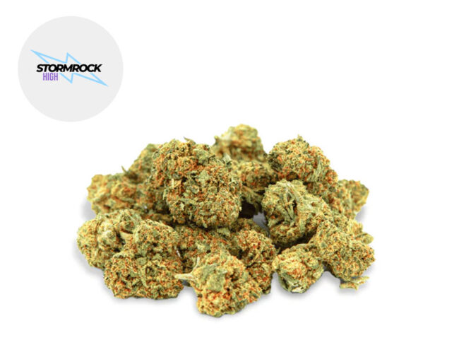 Mini Bud Premium MSC 13% - Stormrock High