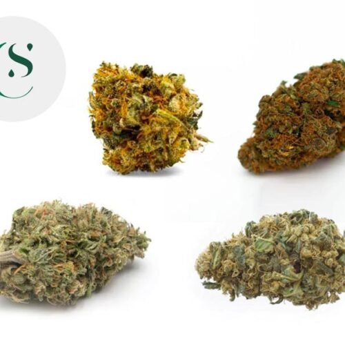 Coffret Indoor CBD Découverte (12g) - Saveurs CBD