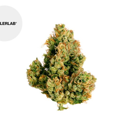 White Widow CBD 22% - TealerLab