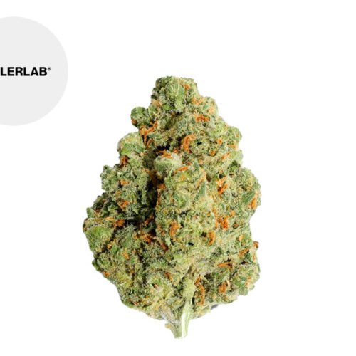 Amnesia Calilab CBD 32% - TealerLab