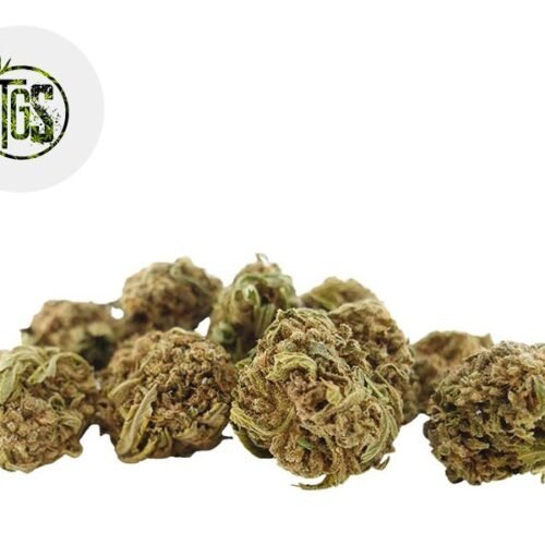 White Widow CBD 5% - The Green Store