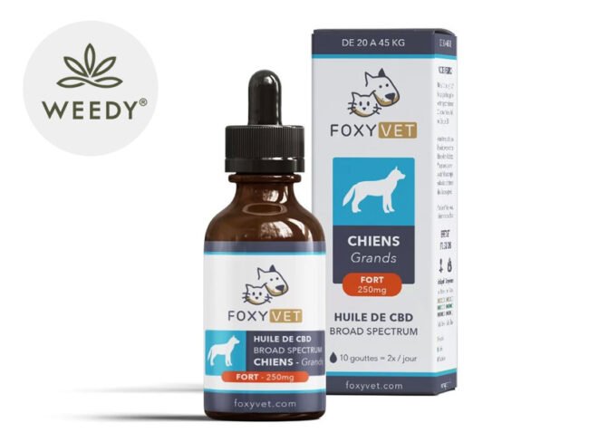 Huile CBD Chien 10% Foxyvet 30ml