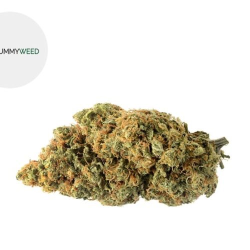 Amnesia CBD 11% - Yummyweed