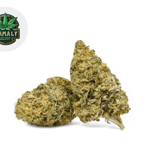 Bubble Gum CBD 19% - Zamaly